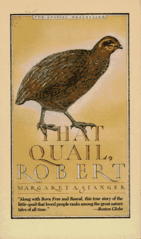 That Quail, Robert
