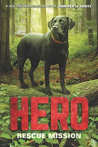 Rescue Mission (Hero, Bk. 3)