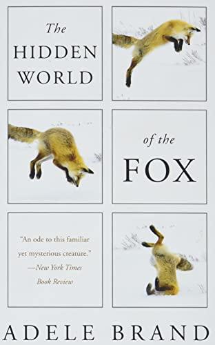 The Hidden World of the Fox