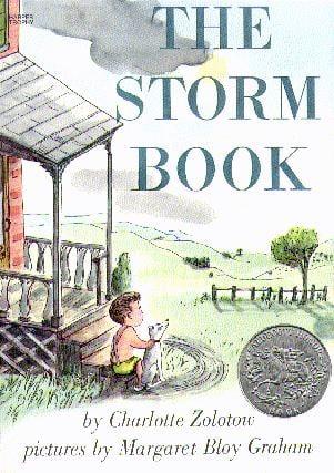 The Storm Book