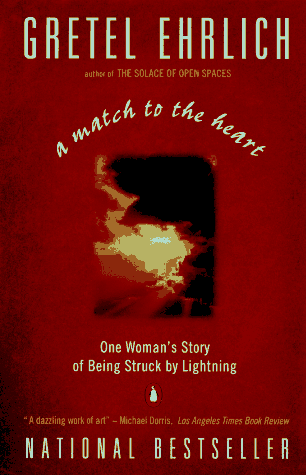 A Match to the Heart: One Woman's Story of Being Struck By Lightning