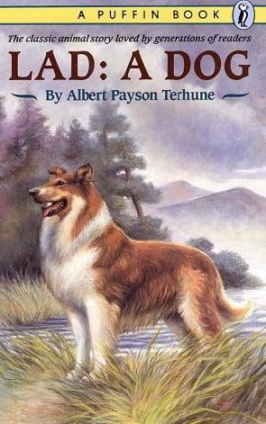 Lad: A Dog