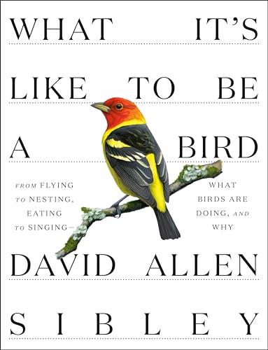What It’s Like to Be a Bird: From Flying to Nesting, Eating to Singing - What Birds Are Doing, and Why (Sibley Guides)