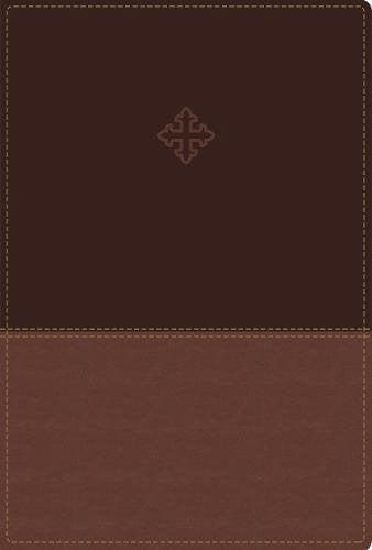The Amplified Study Bible (Large Print, Brown Leathersoft)
