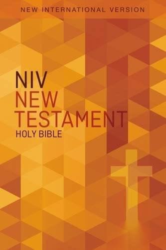 NIV New Testament & Portions Holy Bible