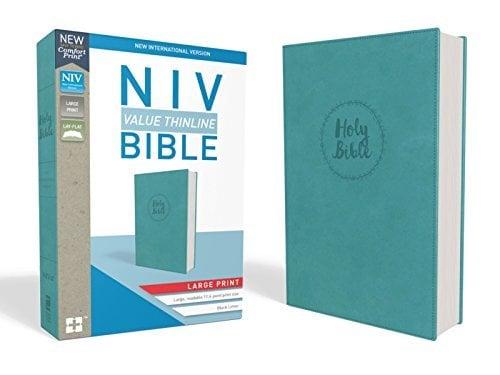 NIV Value Thinline Bible (Large Print, Turquoise, Leathersoft)