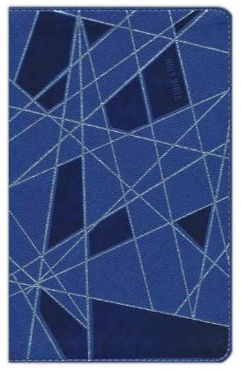 NIV, Premium Gift Bible, Youth Edition (Blue Leathersoft)