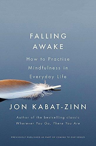 Falling Awake: How to Practise Mindfulness in Everyday Life