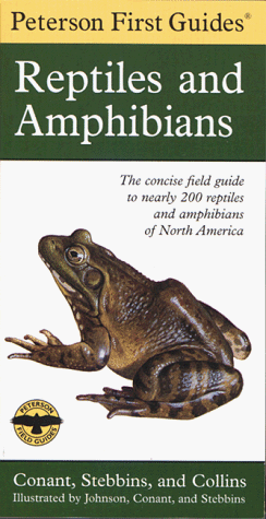 Reptiles and Amphibians (Peterson First Guides)