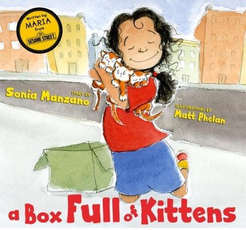 A Box Full Of Kittens