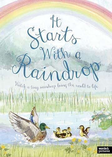 It Starts With A Raindrop: Watch a Tiny Raindrop Bring the World to Life