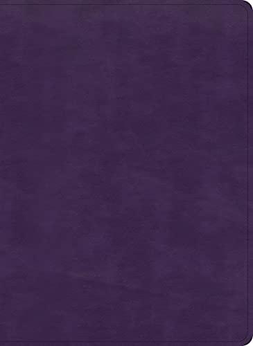 KJV, Study Bible (Indexed, Plum LeatherTouch)