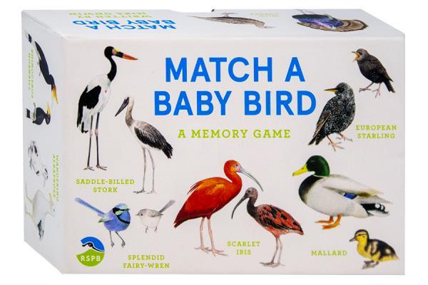 Match a Baby Bird: A Memory Game