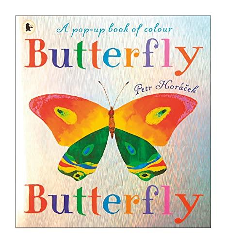 Butterfly Butterfly