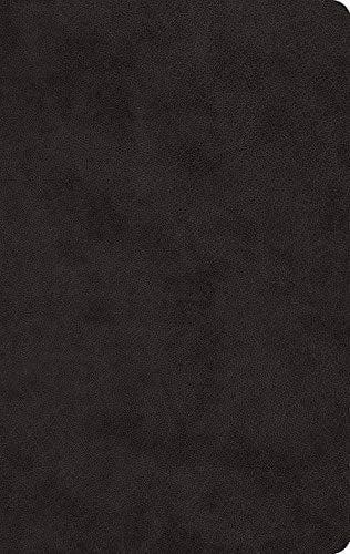 ESV Large Print Value Thinline Bible (TruTone Black)