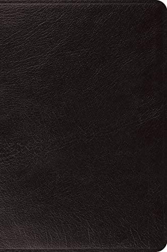 ESV Large Print Bible (Black Top Grain Leather)