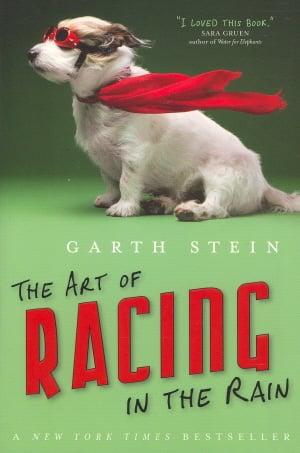 The Art of Racing in the Rain