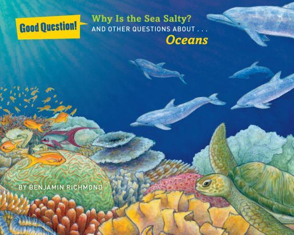 Why is the Sea Salty? And Other Questions About... Oceans (Good Question!)