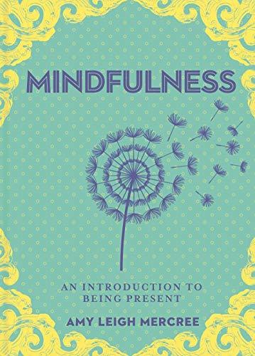 A Little Bit of Mindfulness: An Introduction to Being Present (Little Bit Series)