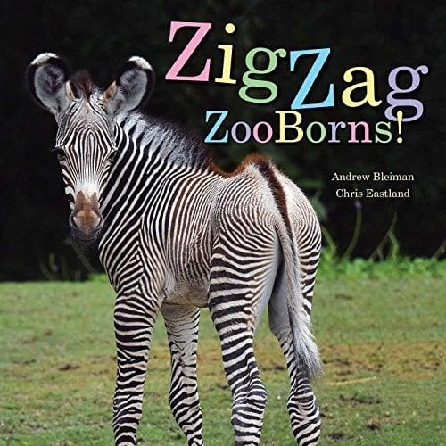 ZigZag ZooBorns! Zoo Baby Colors and Patterns