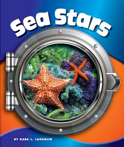 Sea Stars (In the Deep Blue Sea)