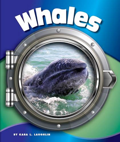Whales (In the Deep Blue Sea)
