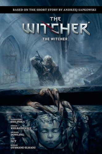 The Witcher (The Witcher)