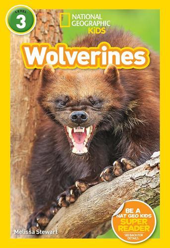 Wolverines (National Geographic Kids Reader, Level 3)