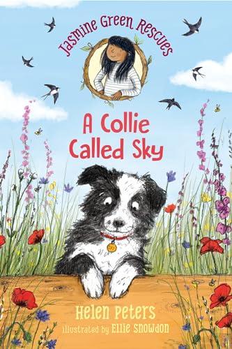 A Collie Called Sky (Jasmine Green Rescues, Bk. 3)