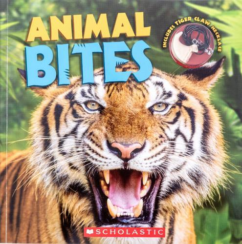 Animal Bites