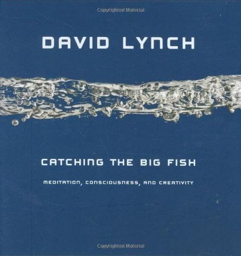 Catching the Big Fish: Meditation, Consciousness, and Creativity