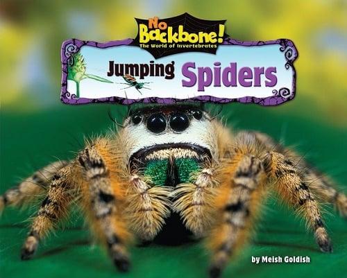Jumping Spiders (No Backbone! The World of Invertebrates)