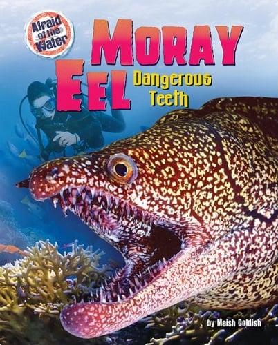 Moray Eel: Dangerous Teeth (Afraid of the Water)