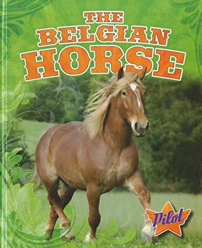 The Belgian Horse (Pilot, Horse Breed Roundup)