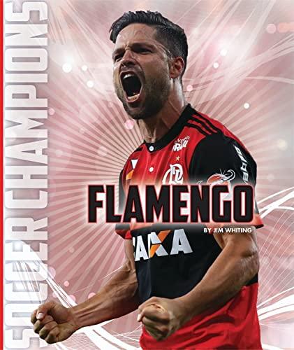 Flamengo (Soccer Champions)