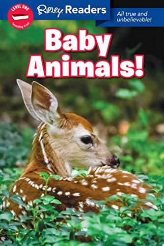 Baby Animals (Ripley Readers, Level 1)
