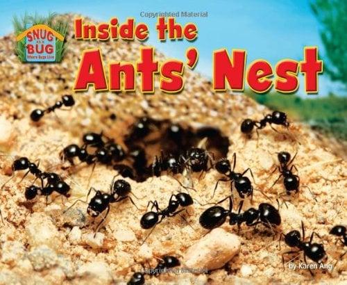 Inside the Ants' Nest (Snug as a Bug: Where Bugs Live)