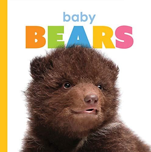 Baby Bears (Starting Out)