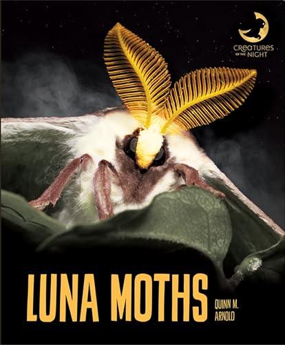 Luna Moths (Creatures at Night)