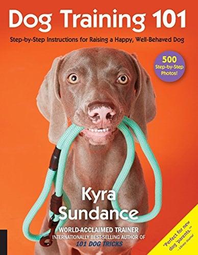 Dog Training 101: Step-by-Step Instructions for Raising a Happy, Well-Behaved Dog
