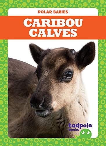Caribou Calves (Tadpole Books, Polar Babies)