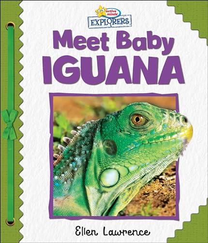 Meet Baby Iguana (Active Minds Explorers)