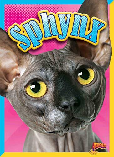 Sphynx (Cat Stats)