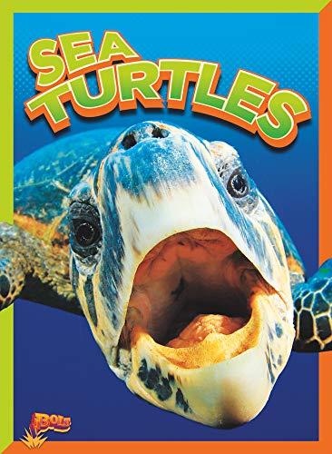 Sea Turtles (Wild Animal Kingdom)