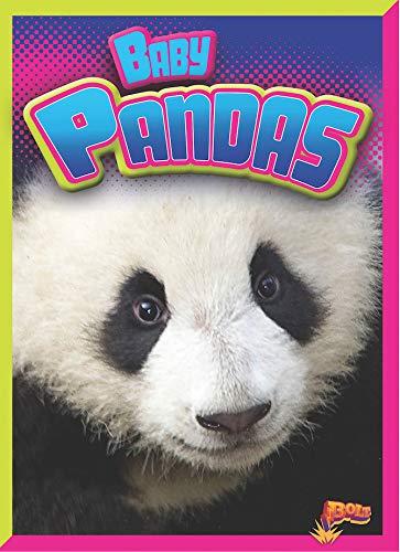 Baby Pandas (Bolt, Adorable Animals)