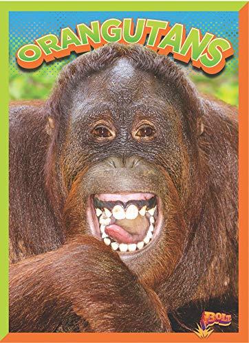 Orangutans (Wild Animal Kingdom)