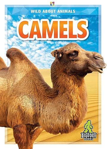 Camels (Wild About Animals)