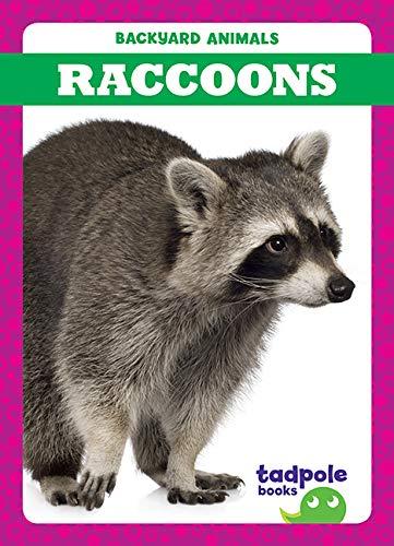 Raccoons (Tadpole Books, Backyard Animals)