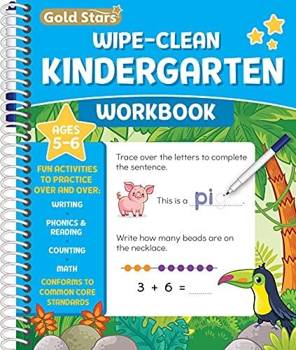 Wipe Clean Kindergarten Workbook (Gold Stars)