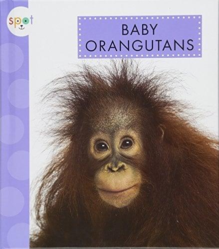 Baby Orangutans (Spot Baby Animals)